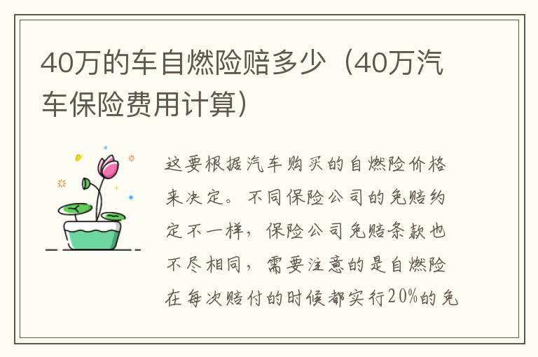 40万的车自燃险赔多少（40万汽车保险费用计算）