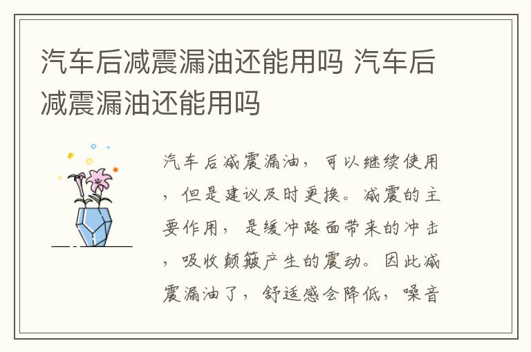 汽车后减震漏油还能用吗 汽车后减震漏油还能用吗