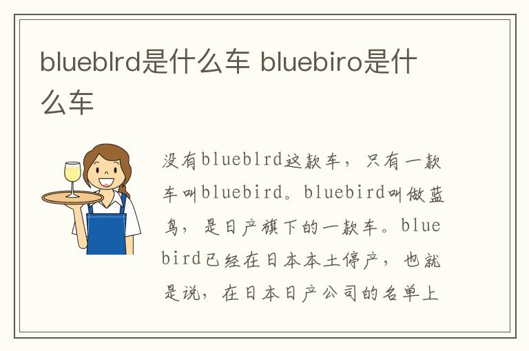 blueblrd是什么车 bluebiro是什么车