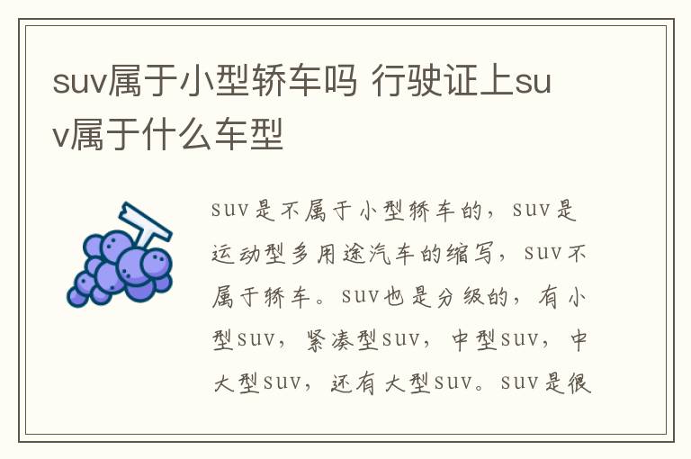 suv属于小型轿车吗 行驶证上suv属于什么车型