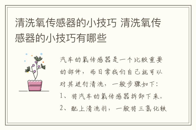 清洗氧传感器的小技巧 清洗氧传感器的小技巧有哪些