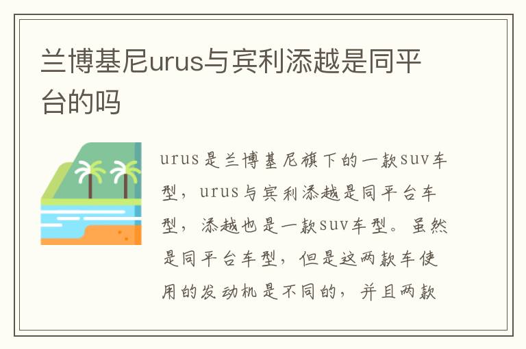 兰博基尼urus与宾利添越是同平台的吗