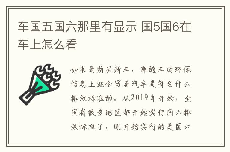 车国五国六那里有显示 国5国6在车上怎么看