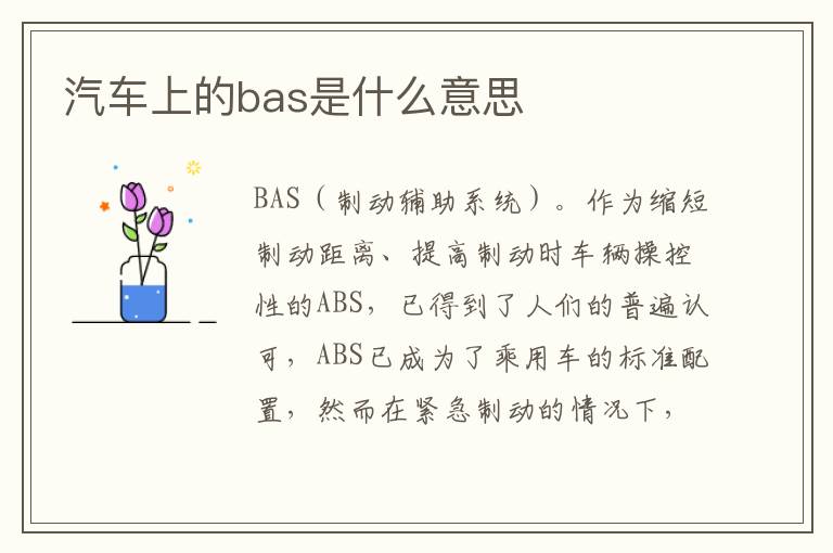 汽车上的bas是什么意思