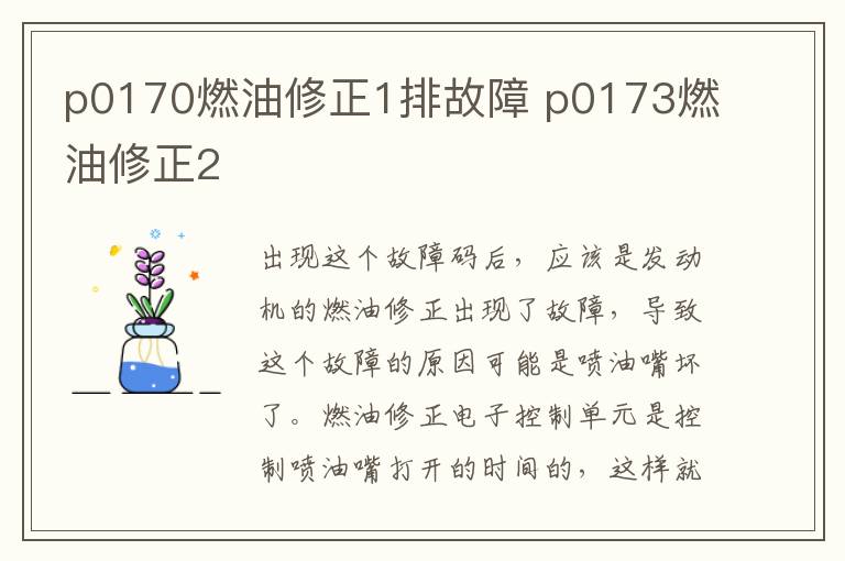 p0170燃油修正1排故障 p0173燃油修正2