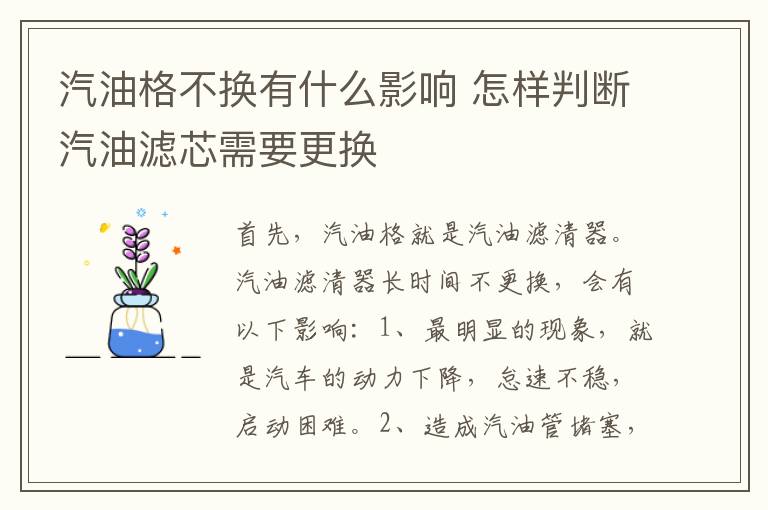 汽油格不换有什么影响 怎样判断汽油滤芯需要更换