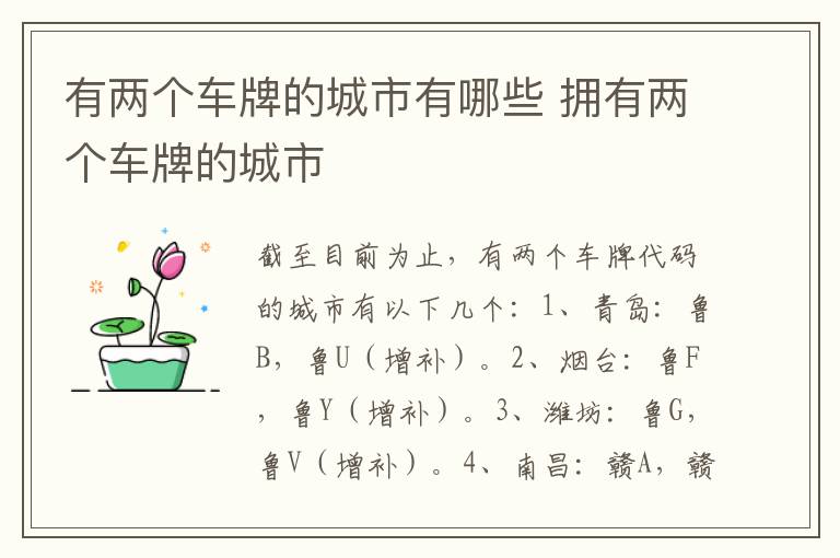 有两个车牌的城市有哪些 拥有两个车牌的城市