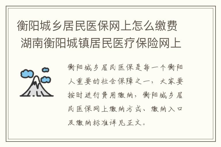 衡阳城乡居民医保网上怎么缴费 湖南衡阳城镇居民医疗保险网上缴费