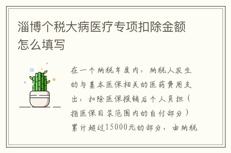 淄博个税大病医疗专项扣除金额怎么填写