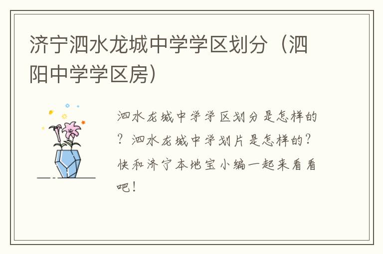 济宁泗水龙城中学学区划分（泗阳中学学区房）