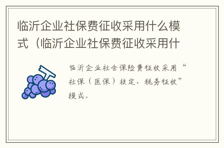 临沂企业社保费征收采用什么模式（临沂企业社保费征收采用什么模式缴纳）