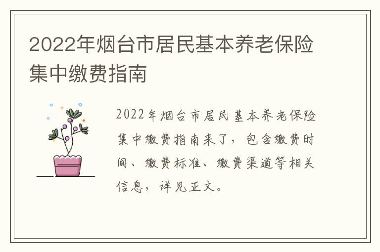 2022年烟台市居民基本养老保险集中缴费指南