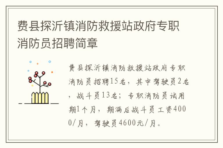 费县探沂镇消防救援站政府专职消防员招聘简章