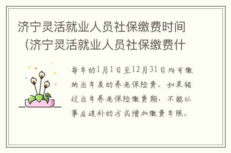 济宁灵活就业人员社保缴费时间（济宁灵活就业人员社保缴费什么时间开始交）