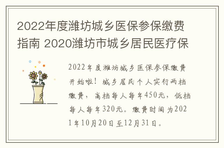 2022年度潍坊城乡医保参保缴费指南 2020潍坊市城乡居民医疗保险缴费