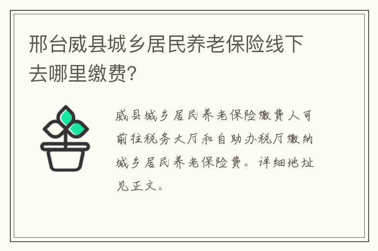 邢台威县城乡居民养老保险线下去哪里缴费？