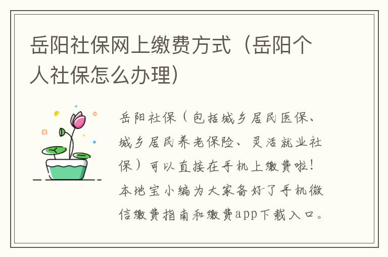 岳阳社保网上缴费方式（岳阳个人社保怎么办理）