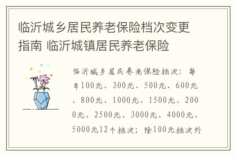 临沂城乡居民养老保险档次变更指南 临沂城镇居民养老保险