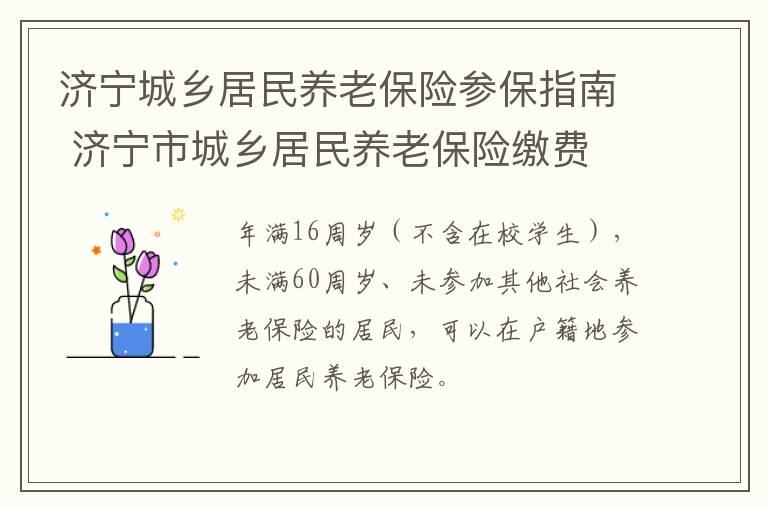 济宁城乡居民养老保险参保指南 济宁市城乡居民养老保险缴费