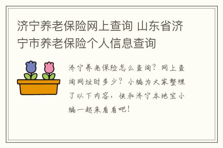 济宁养老保险网上查询 山东省济宁市养老保险个人信息查询