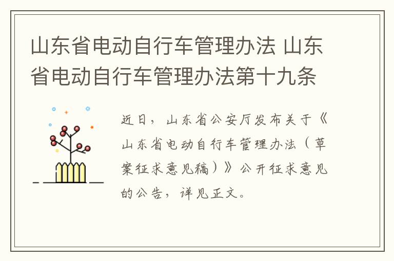 山东省电动自行车管理办法 山东省电动自行车管理办法第十九条