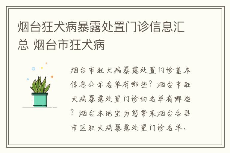 烟台狂犬病暴露处置门诊信息汇总 烟台市狂犬病