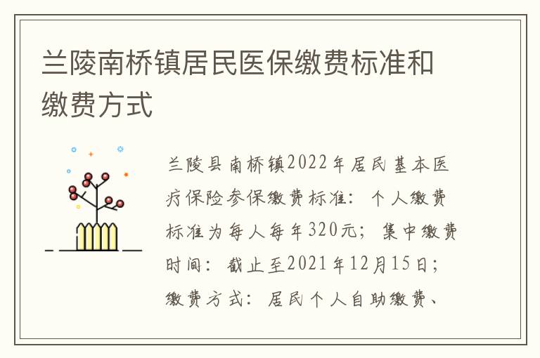 兰陵南桥镇居民医保缴费标准和缴费方式