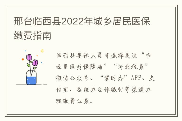 邢台临西县2022年城乡居民医保缴费指南