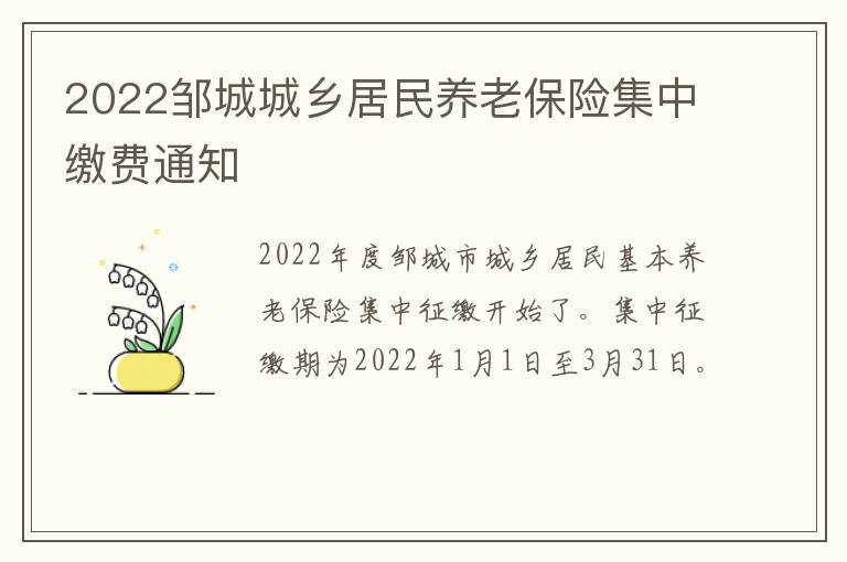 2022邹城城乡居民养老保险集中缴费通知