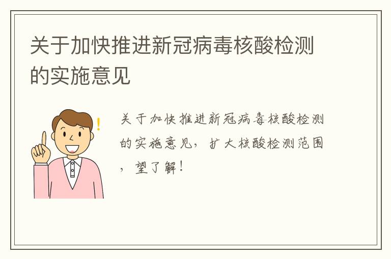 关于加快推进新冠病毒核酸检测的实施意见