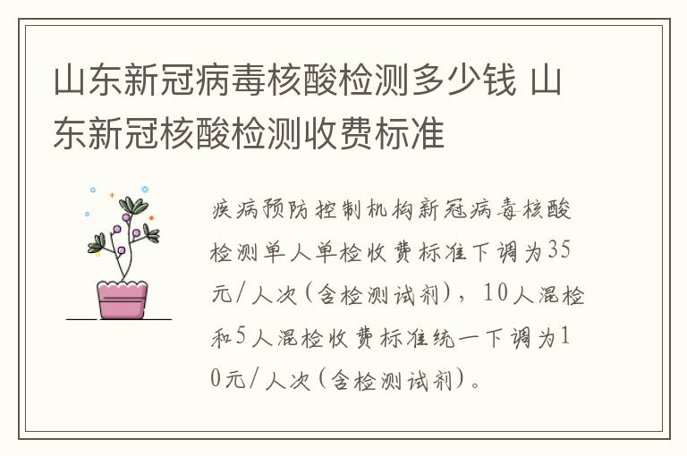 山东新冠病毒核酸检测多少钱 山东新冠核酸检测收费标准