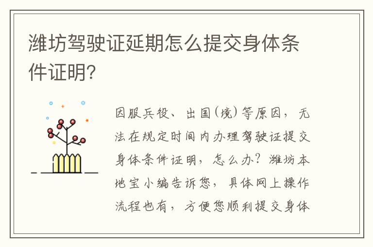 潍坊驾驶证延期怎么提交身体条件证明？