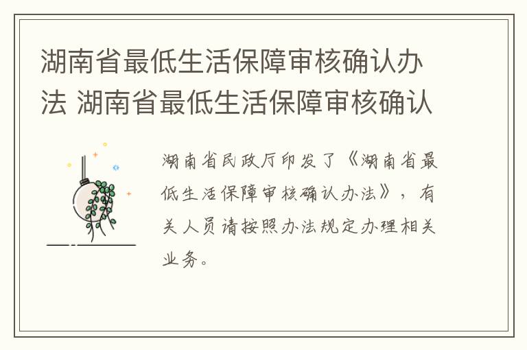 湖南省最低生活保障审核确认办法 湖南省最低生活保障审核确认办法 PDF