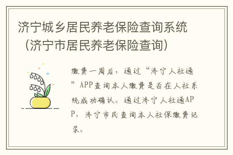 济宁城乡居民养老保险查询系统（济宁市居民养老保险查询）