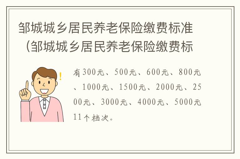 邹城城乡居民养老保险缴费标准（邹城城乡居民养老保险缴费标准表）