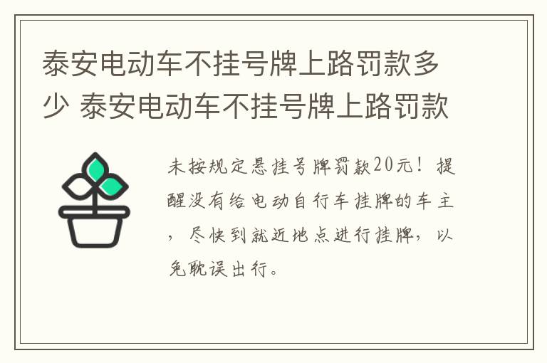 泰安电动车不挂号牌上路罚款多少 泰安电动车不挂号牌上路罚款多少钱