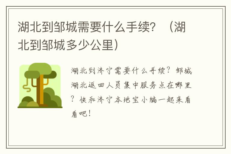 湖北到邹城需要什么手续？（湖北到邹城多少公里）