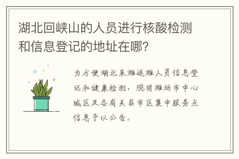 湖北回峡山的人员进行核酸检测和信息登记的地址在哪？