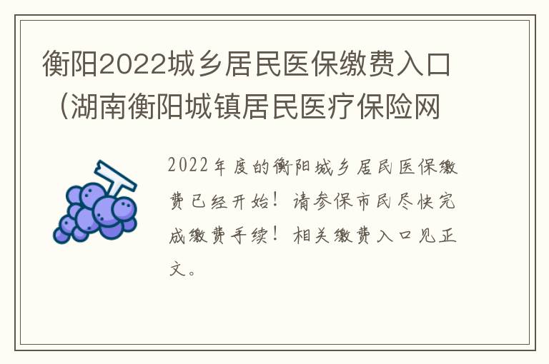 衡阳2022城乡居民医保缴费入口（湖南衡阳城镇居民医疗保险网上缴费）