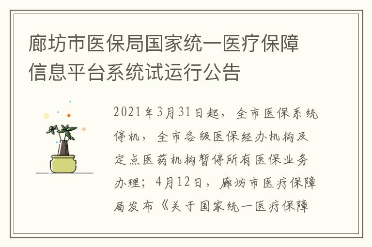 廊坊市医保局国家统一医疗保障信息平台系统试运行公告