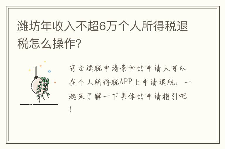 潍坊年收入不超6万个人所得税退税怎么操作？