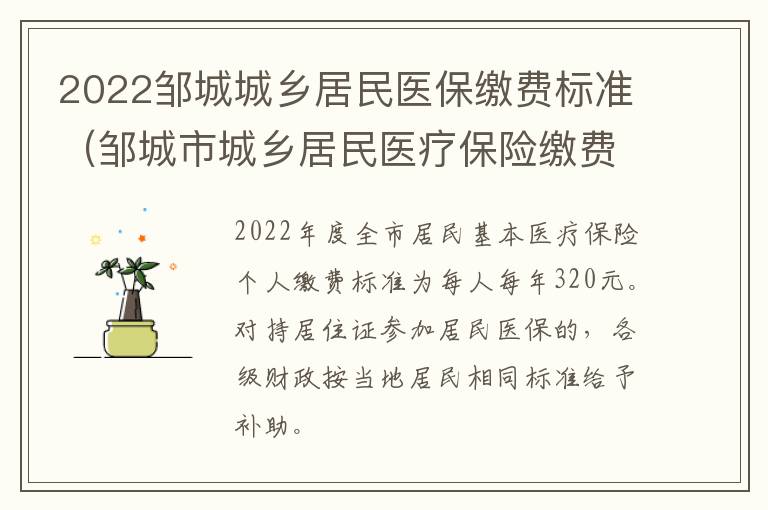 2022邹城城乡居民医保缴费标准（邹城市城乡居民医疗保险缴费）