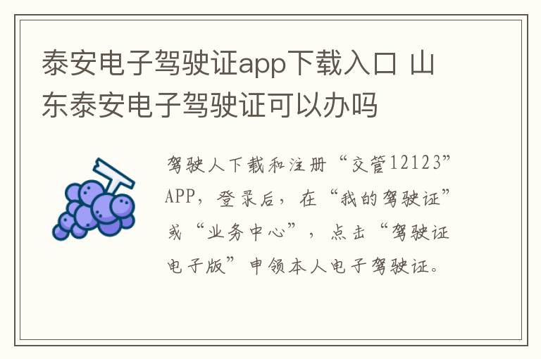 泰安电子驾驶证app下载入口 山东泰安电子驾驶证可以办吗