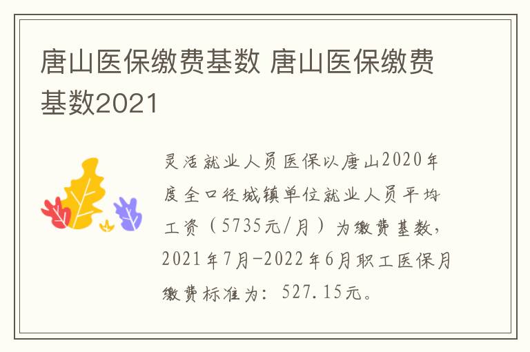 唐山医保缴费基数 唐山医保缴费基数2021