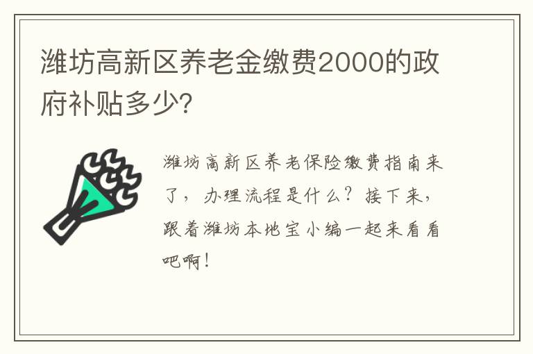 潍坊高新区养老金缴费2000的政府补贴多少？