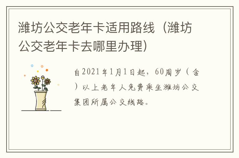 潍坊公交老年卡适用路线（潍坊公交老年卡去哪里办理）