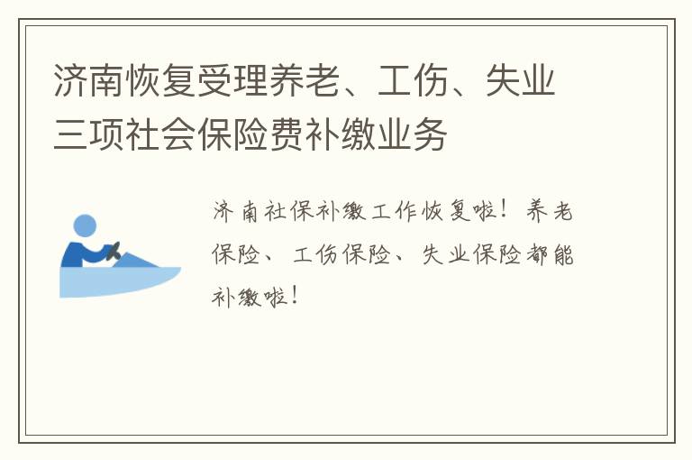 济南恢复受理养老、工伤、失业三项社会保险费补缴业务