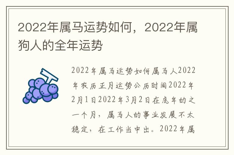 2022年属马运势如何，2022年属狗人的全年运势