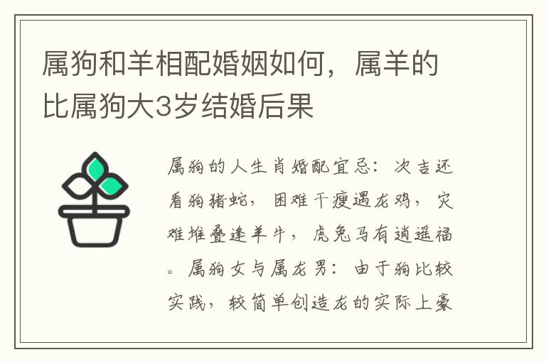 属狗和羊相配婚姻如何，属羊的比属狗大3岁结婚后果