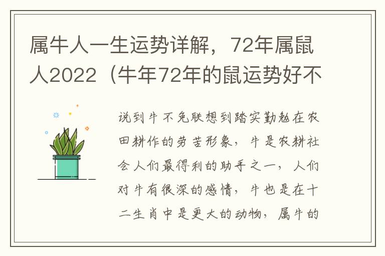 属牛人一生运势详解，72年属鼠人2022（牛年72年的鼠运势好不好2021年）